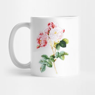 Vintage Red Roses Flower Illustration Mug